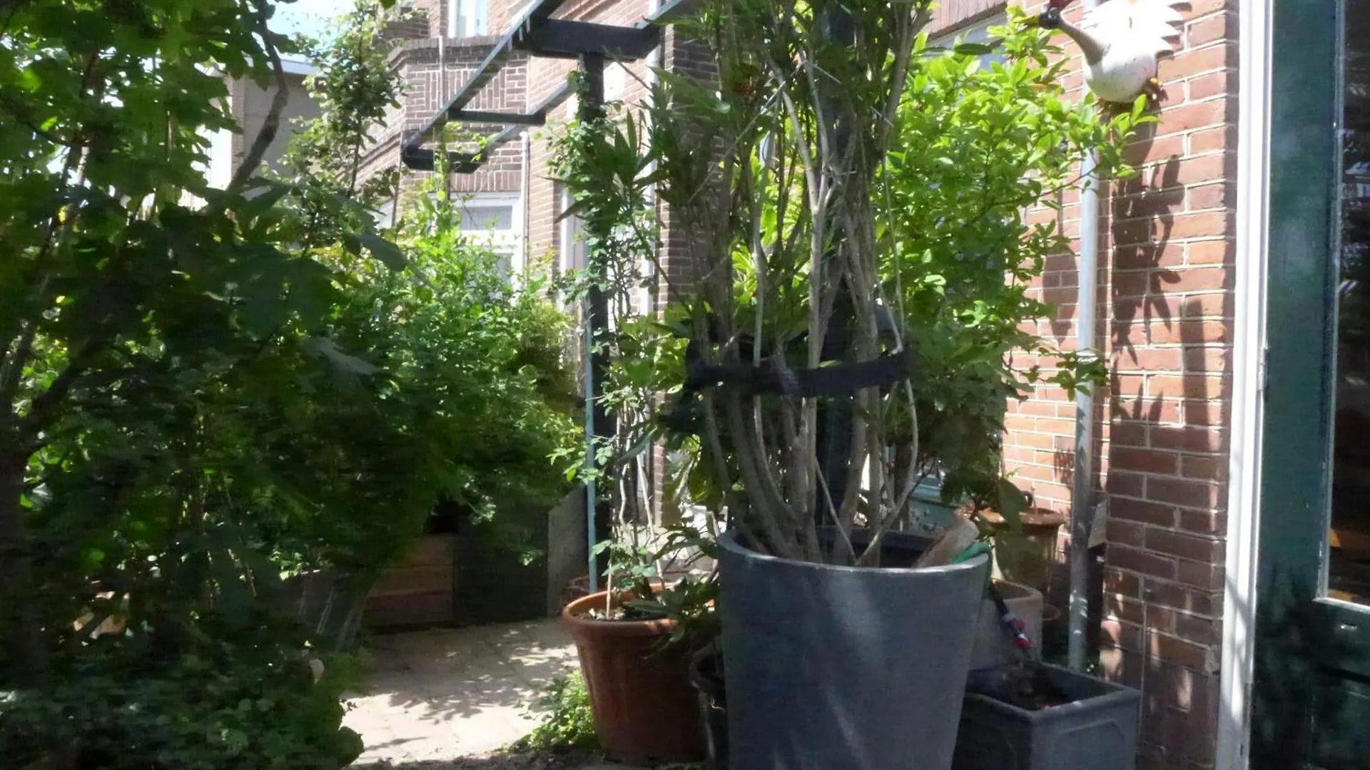 Family Home Marie Зандфорт 0*,  Нидерланды