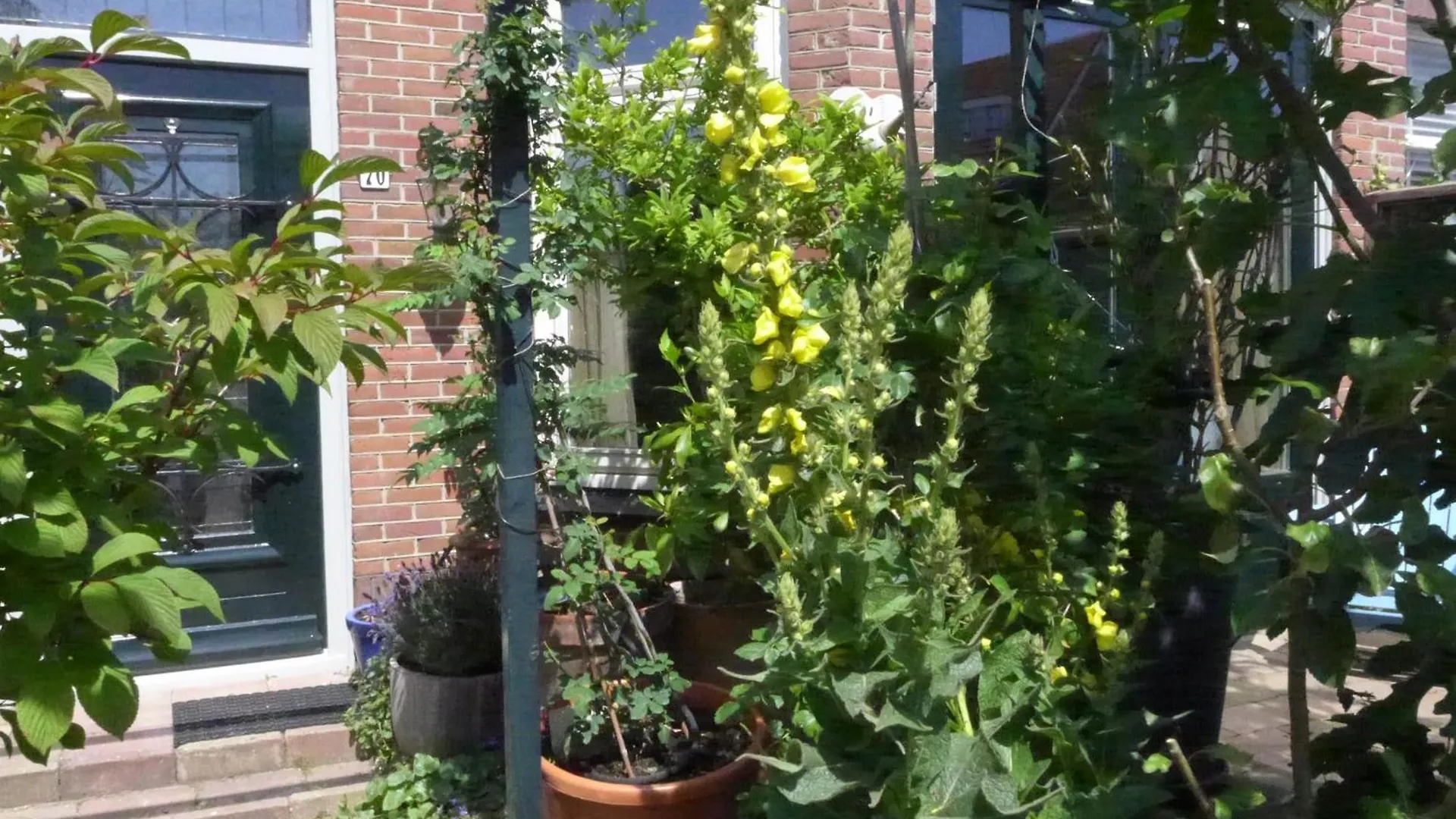 Family Home Marie Зандфорт Дом отдыха
